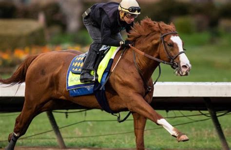 oaklawn park entries.